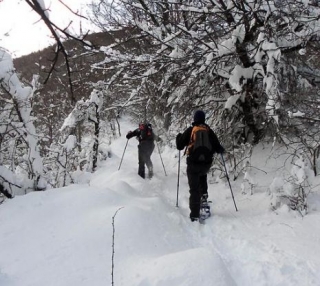  Olvídese de todo en la pureza del camicrema con raquetas de nieve